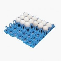 ����ץ饹���å�����(�ꥹ)�����å��ȥ졼��(30����)