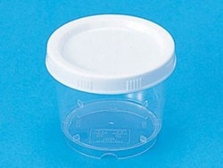 ���󥱡�����C-300�����Ρ�