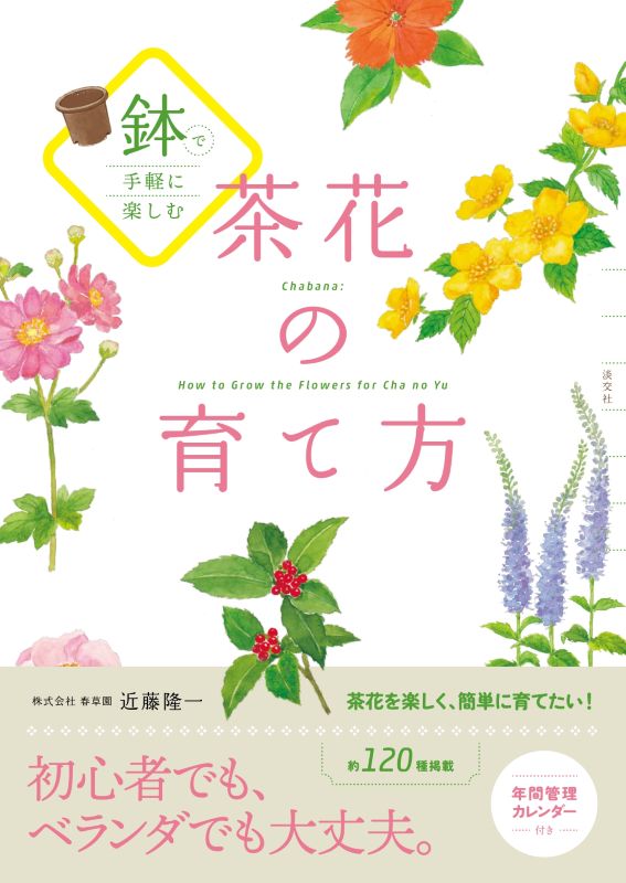 鉢で手軽に楽しむ 茶花の育て方 | 書籍,茶道書,茶花 | 淡交社 本の 鉢で手軽に楽しむ 茶花の育て方 | 書籍,茶道書,茶花 | 淡交社 本の