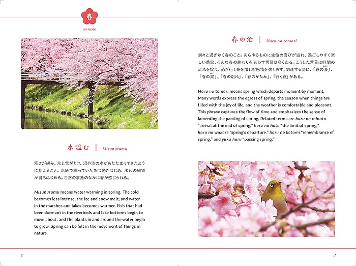 �Ѹ�������� ��������100