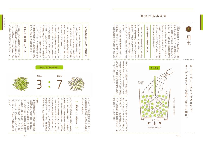 ȭ�Ǽ�ڤ˳ڤ��� ��֤ΰ����