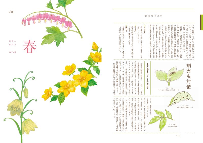 ȭ�Ǽ�ڤ˳ڤ��� ��֤ΰ����