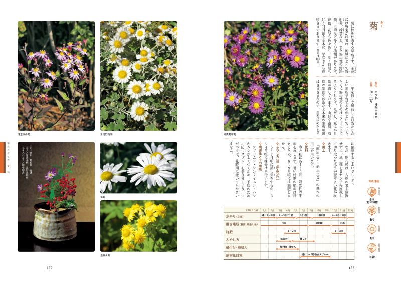 ȭ�Ǽ�ڤ˳ڤ��� ��֤ΰ����