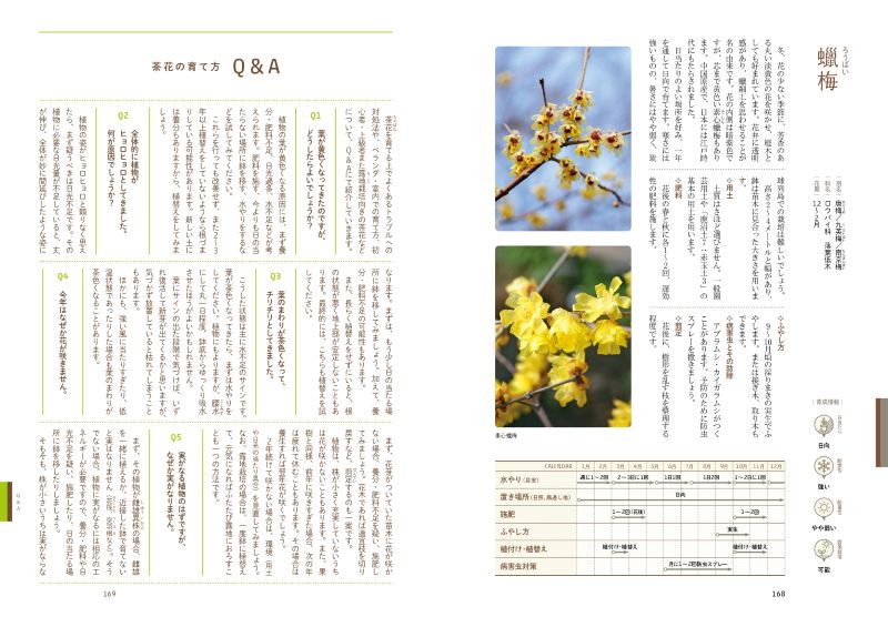 ȭ�Ǽ�ڤ˳ڤ��� ��֤ΰ����