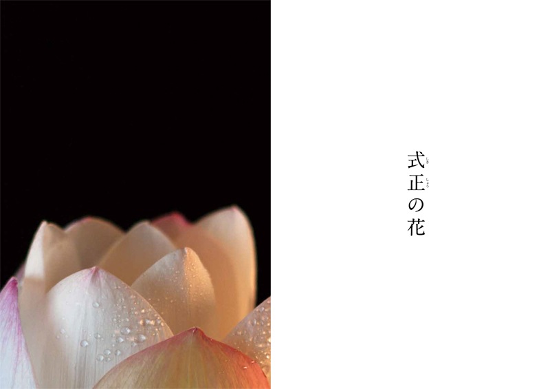 花の伝書 | 岡田 幸三 |本 | 通販 | Amazon