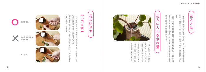 ӥեեǤ狼롡鿴ԤΤ֤