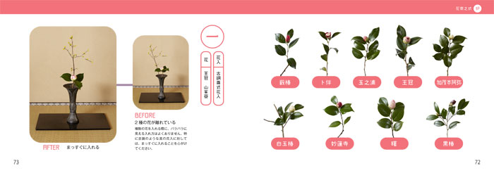 ӥեեǤ狼롡鿴ԤΤ֤