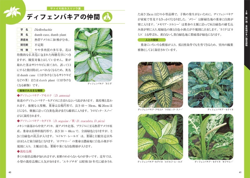 ��������� �ͤ�ڥåȤⵤ��Ĥ����� ���ͭ�ǿ�ʪ�޴�