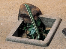 �����Ѥ��ʤ����� ��Ȥ