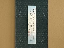 û���֤�������ײ�ǡ��