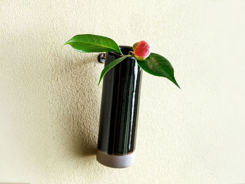 ������ �ݲ���