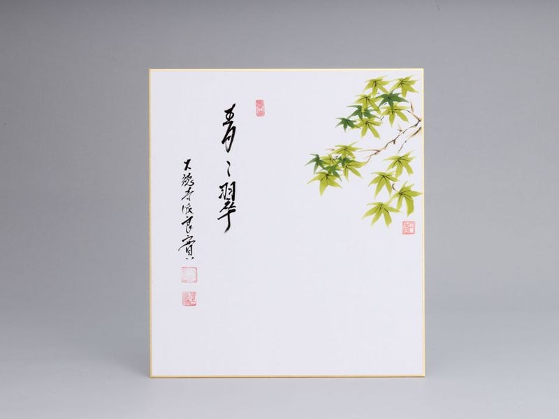 画賛色紙「青々翠」青楓の図 | すべての商品 | 淡交社 茶道具と茶席の