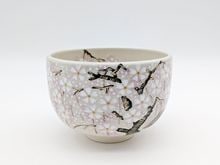 オンラインショップ限定,茶道具 | 淡交社 茶道具と茶席のきもの