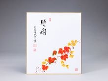 �軿����ֻ����� �դβ�