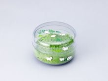 茶道具,茶器 （棗・茶入） | 淡交社 茶道具と茶席のきものオンライン