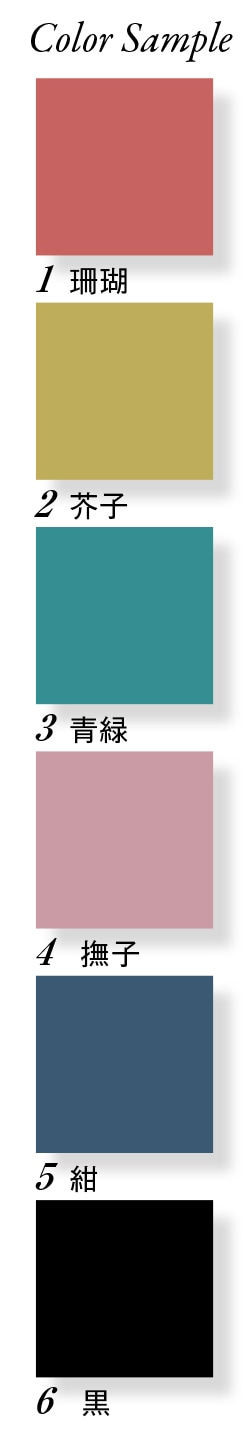 ���åץ륳����