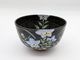 ������ �������ҡҤ��ӡ㥵�ޡ��������