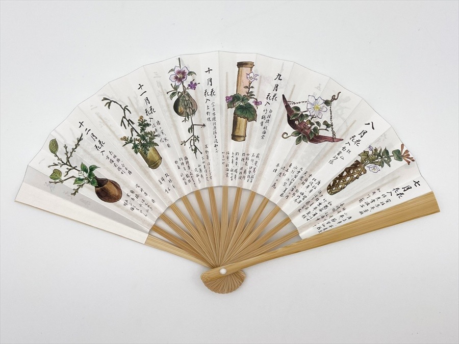 ������ ���