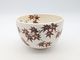 ���ճ�����