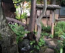 2026ǯ ��Ͽͭ��ʸ���� �綶��������������������������