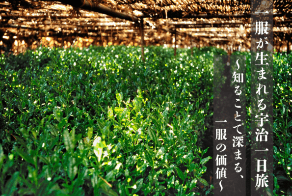 ���������ޤ�뱧������ι�����Τ뤳�Ȥǿ��ޤ롢�����β��͡�