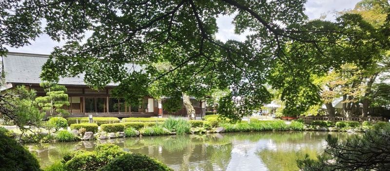 �裴������߲����פ˻��ʡ���������������ᤰ�������ι