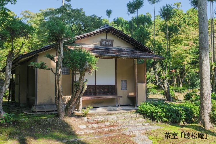 ���ԡ�������İ�������ۡ����岽��ȼ�������帼���ؤ�İ���ü�θ�ή�����ޤ줿�������֡�