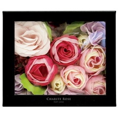 ������̵���ۡ�¨��ȯ��(�����˽�����13:00�ޤǤΤ���ʸ)�ۥ����ƥ����� �ե��Х��ڥ��� ������������ OBDRP0101