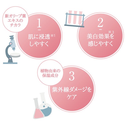 送料無料】【即日発送(土日祝除く・13:00までのご注文