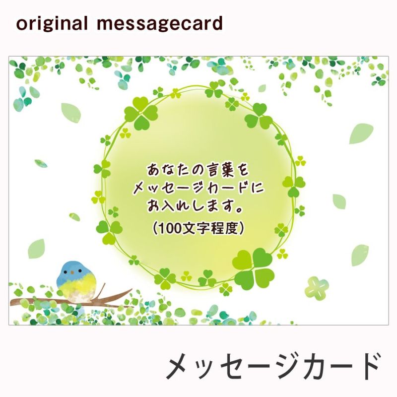 ͭץ ꥸʥå ͭ ץ ʤΥå줷ޤ