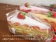 ���������륱���� ���硼�ȥ������� ������ϥ󥫥� ������������ �롦�ѥƥ����� ������