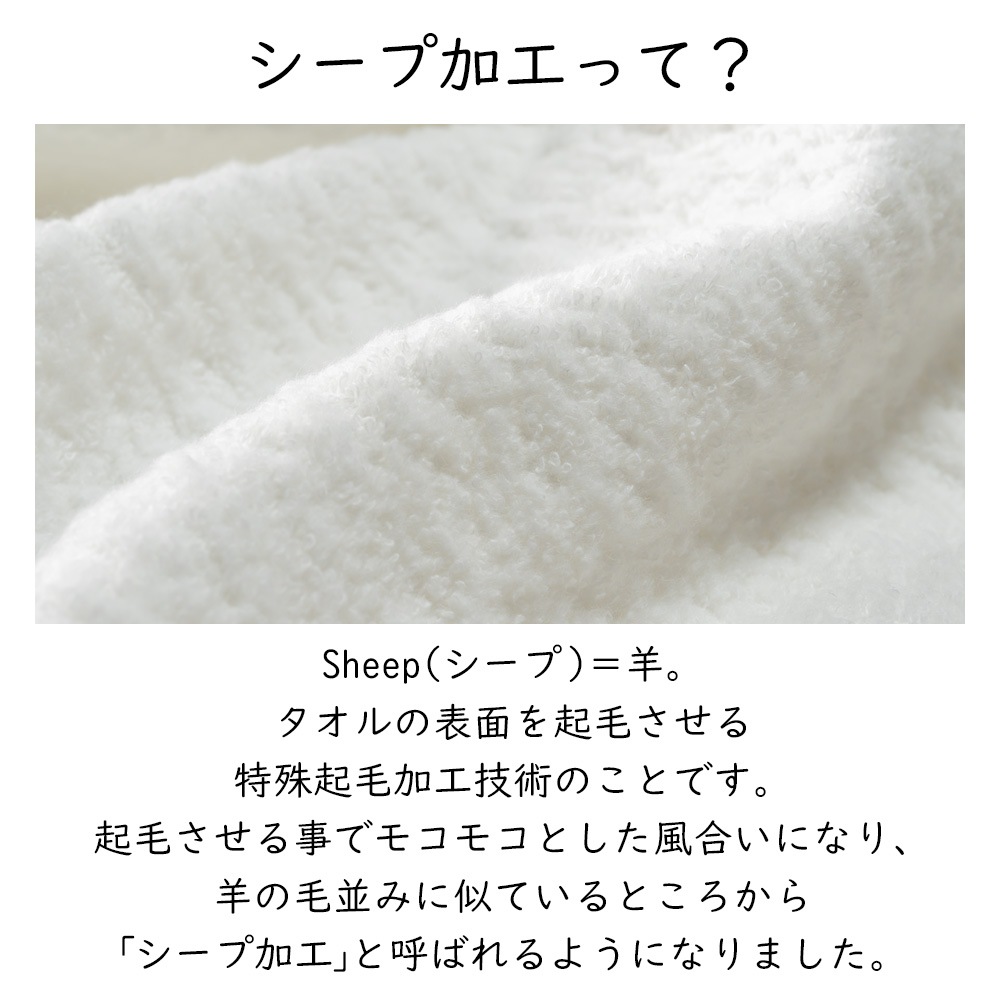 �ե����������� 2�祻�å� ������ �����ץ����� ����̵�� ������ ���������� �ޤȤ��㤤