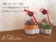 ���������륱���� ���åץ������� ������ϥ󥫥� ������ �롦�ѥƥ����� ������������