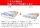 �ۥ饤���� ̵ǲ��ܡ����� �ե����������� 34cm��80cm
