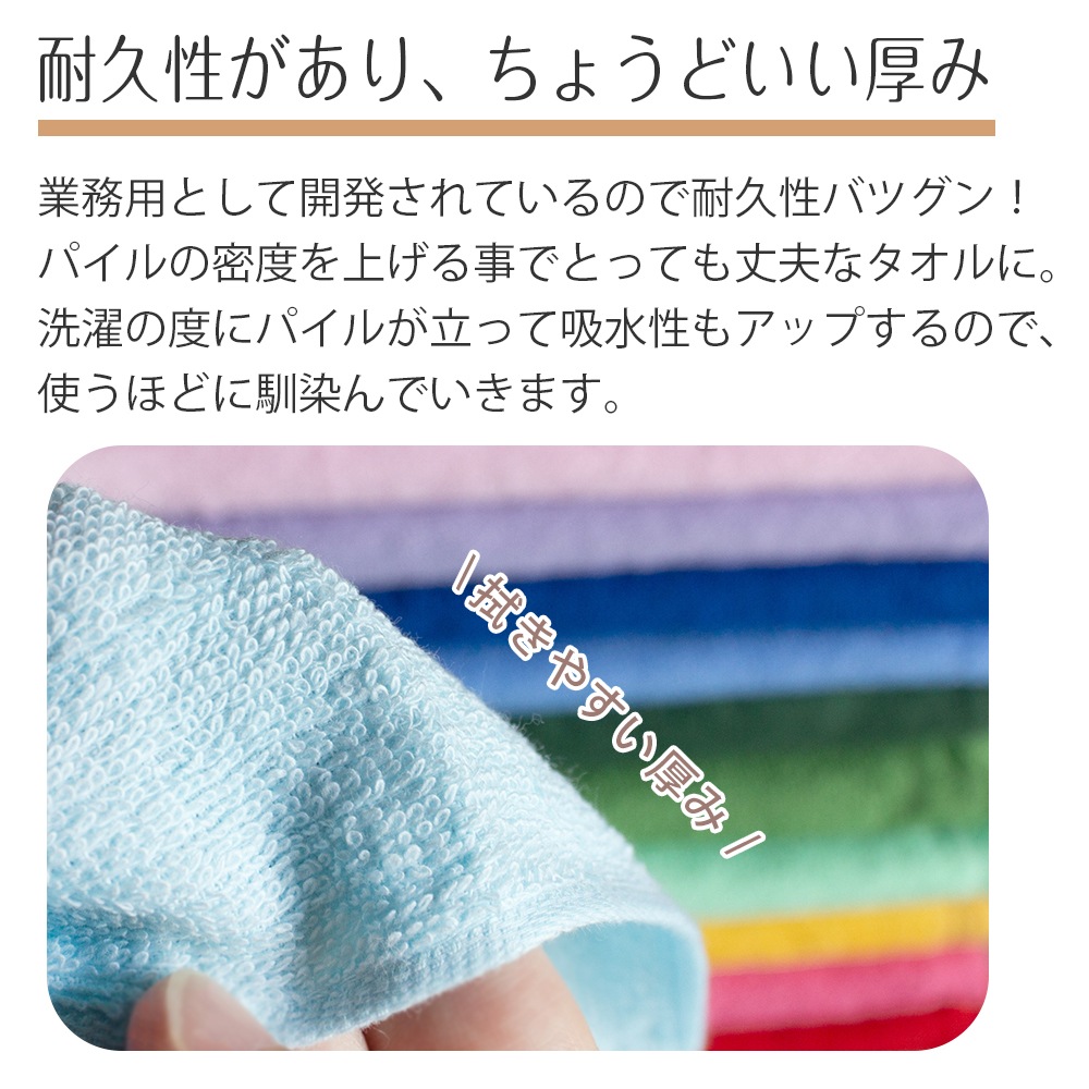 ��B�ʡ������� 240�� ���硼�ȥѥ��륫�顼�ե����������� �ڥ����ȥ�åȡ� ������ ���������� ���顼��12�� �ץ�����