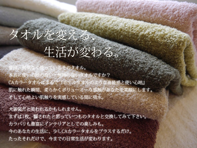 C.A ���顼������ڥϥ�ɥ������������ ����������