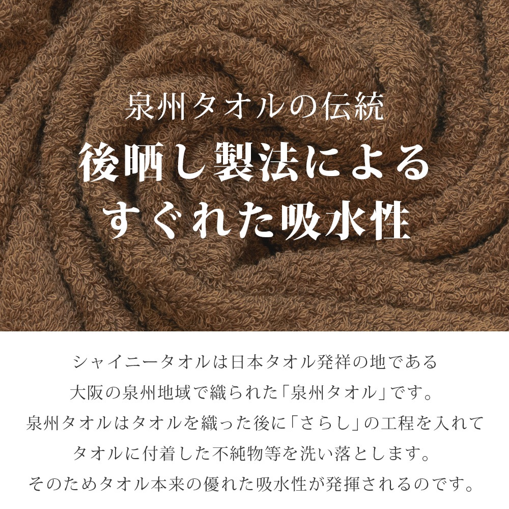 ڥۥƥ륿 㥤ˡ  륮եȡڥХ1