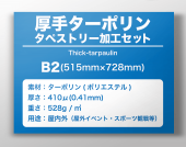 ���꥿���ݥ�󡡥��ڥ��ȥ꡼�ù����åȡ�B2������(515mm��728mm)