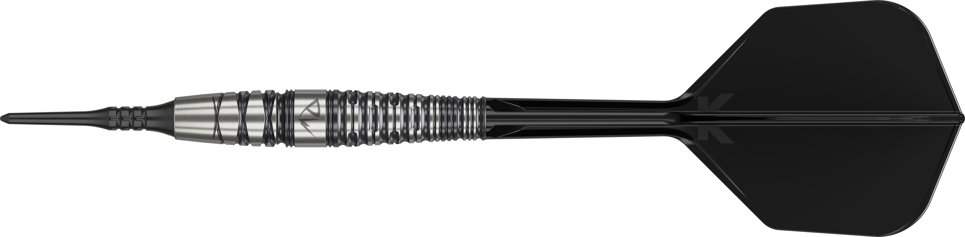ブラックマークシリーズ PW 2.0 タン・プワイ・ウェイモデル 2BA tad6951_01.jpg