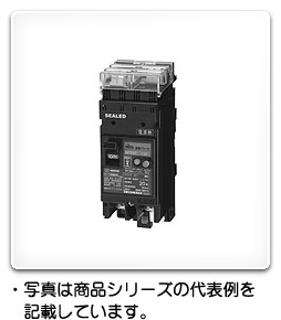 GE52CPS 2P 40A F100 日東工業 プラグインユニット付漏電ブレーカ
