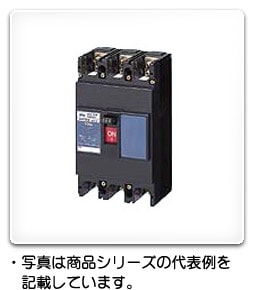 日東工業株式会社 NE103APH(3P100A) 日東工業株式会社 NE103APH(3P100A)
