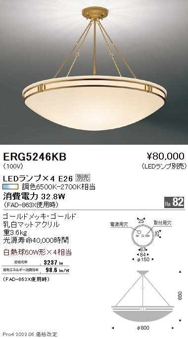 ERG5246KB 遠藤照明 シーリング【ランプ別売】 即配・速配ならプロ向け