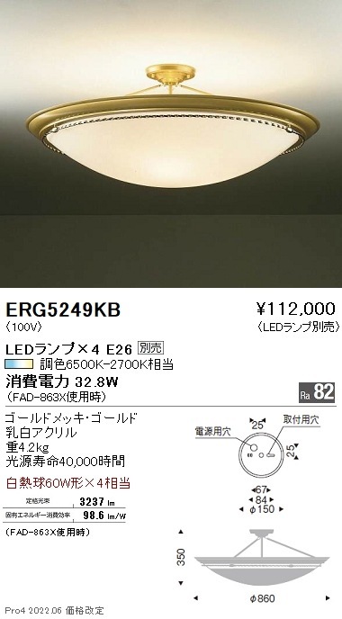 ERG5249KB 遠藤照明 シーリング【ランプ別売】 即配・速配ならプロ向け