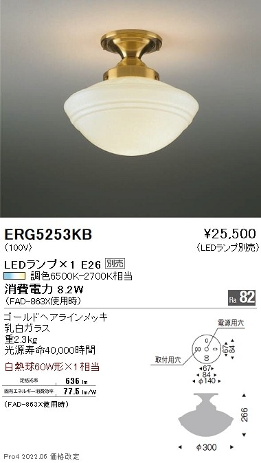 ERG5253KB 遠藤照明 シーリング【ランプ別売】 即配・速配ならプロ向け 