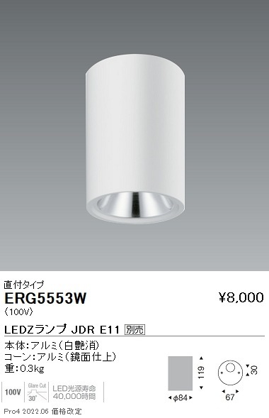 ERG5553W 遠藤照明 JDRシーリングダウン 鏡面コーン 白 600lm