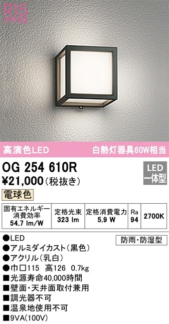 OG254610R オーデリック LEDポーチライト 電球色