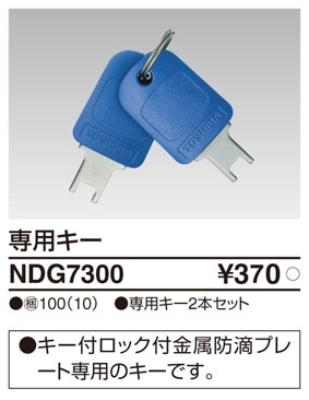 NDG7300 東芝 専用キー 2個セット