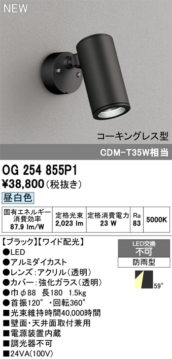 OG254855P1 オーデリック 屋外用LEDスポットライト 昼白色 即配・速配