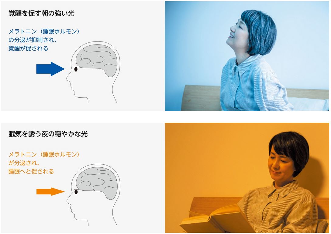 OL291647CR オーデリック 照度センサー付 サーカディアン