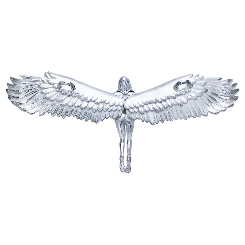 【オーダー商品/納期約6ヶ月前後】SV925 angel cut red garnet 6x4
